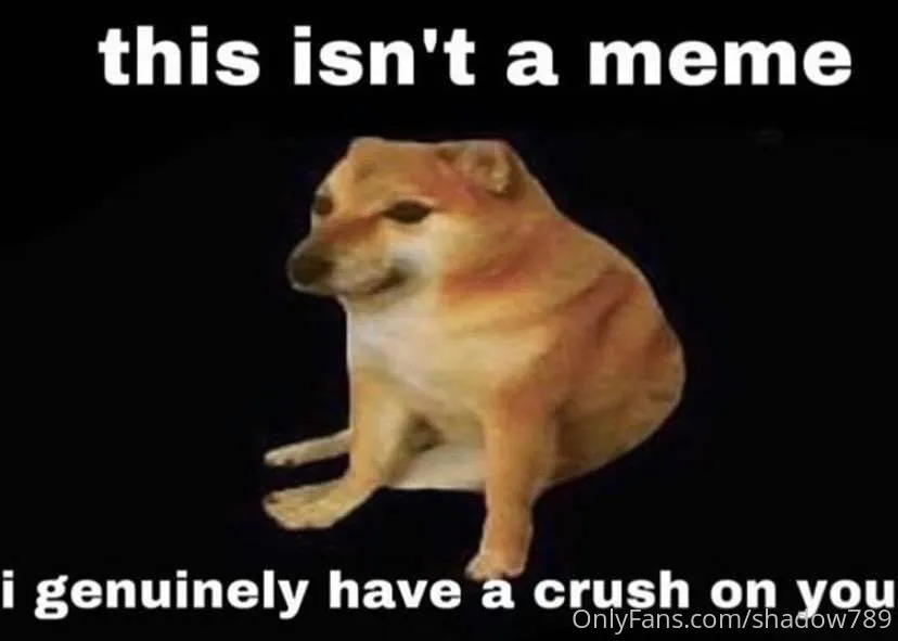 Kidrex shadow789 - #1